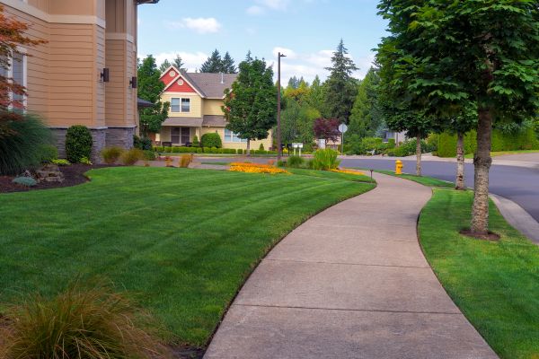 Cost of Sidewalk Patching in Kennewick
